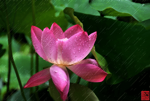 02cc8a98b15433c6c0c9c275690f0d12-sz_703192 (1).gif 02cc8a98b15433c6c0c9c275690f0d12-sz_703192 (1).gif